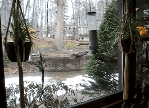 le-pub-fun-6431070.gif