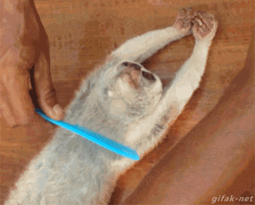 le-pub-fun-6431503.gif