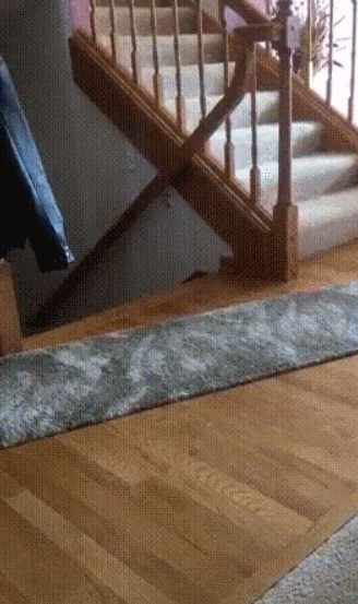 le-pub-fun-6431731.gif