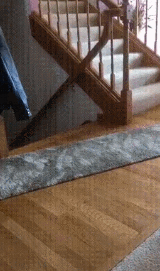 le-pub-fun-6432450.gif
