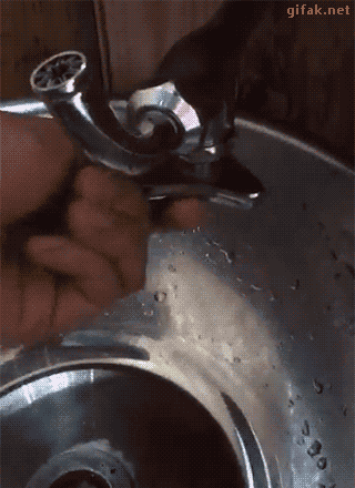 le-pub-fun-6459664.gif