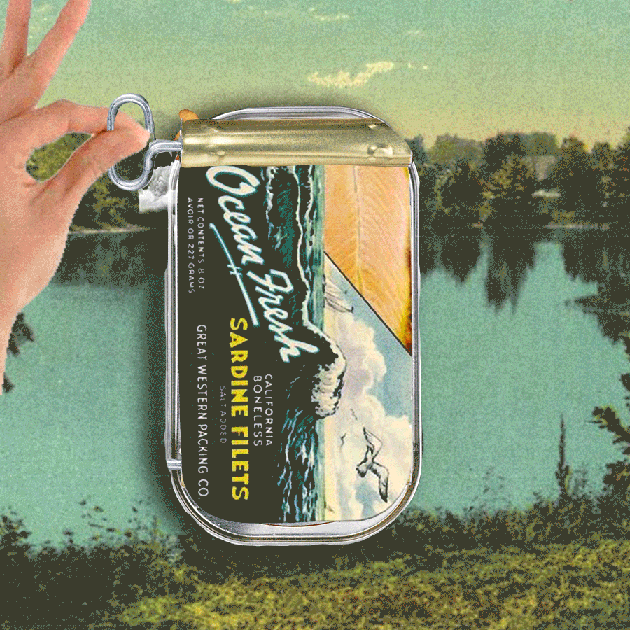 le-pub-fun-6462000.gif