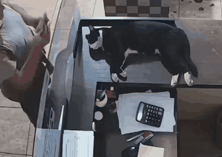 le-pub-fun-6485044.gif