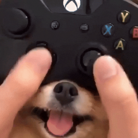 le-pub-fun-6600058.gif