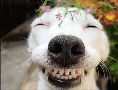 le-pub-fun-6600669.gif