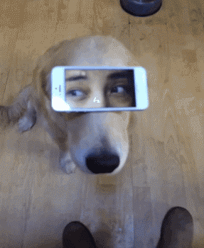le-pub-fun-6600670.gif