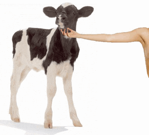 le-pub-fun-6644222.gif le-pub-fun-6644222.gif