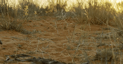 le-pub-fun-6890706.gif