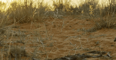 le-pub-fun-6890858.gif le-pub-fun-6890858.gif