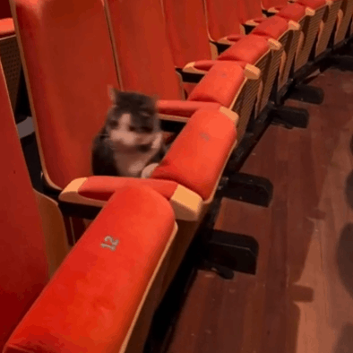 le-pub-fun-6920626.gif