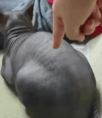 le-pub-fun-6956763.gif le-pub-fun-6956763.gif