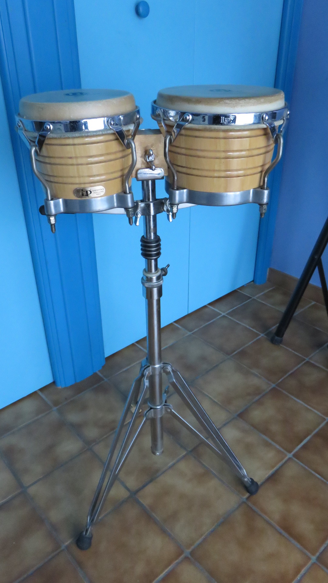 Bongo Génération 2 Professionnel Lp Audiofanzine