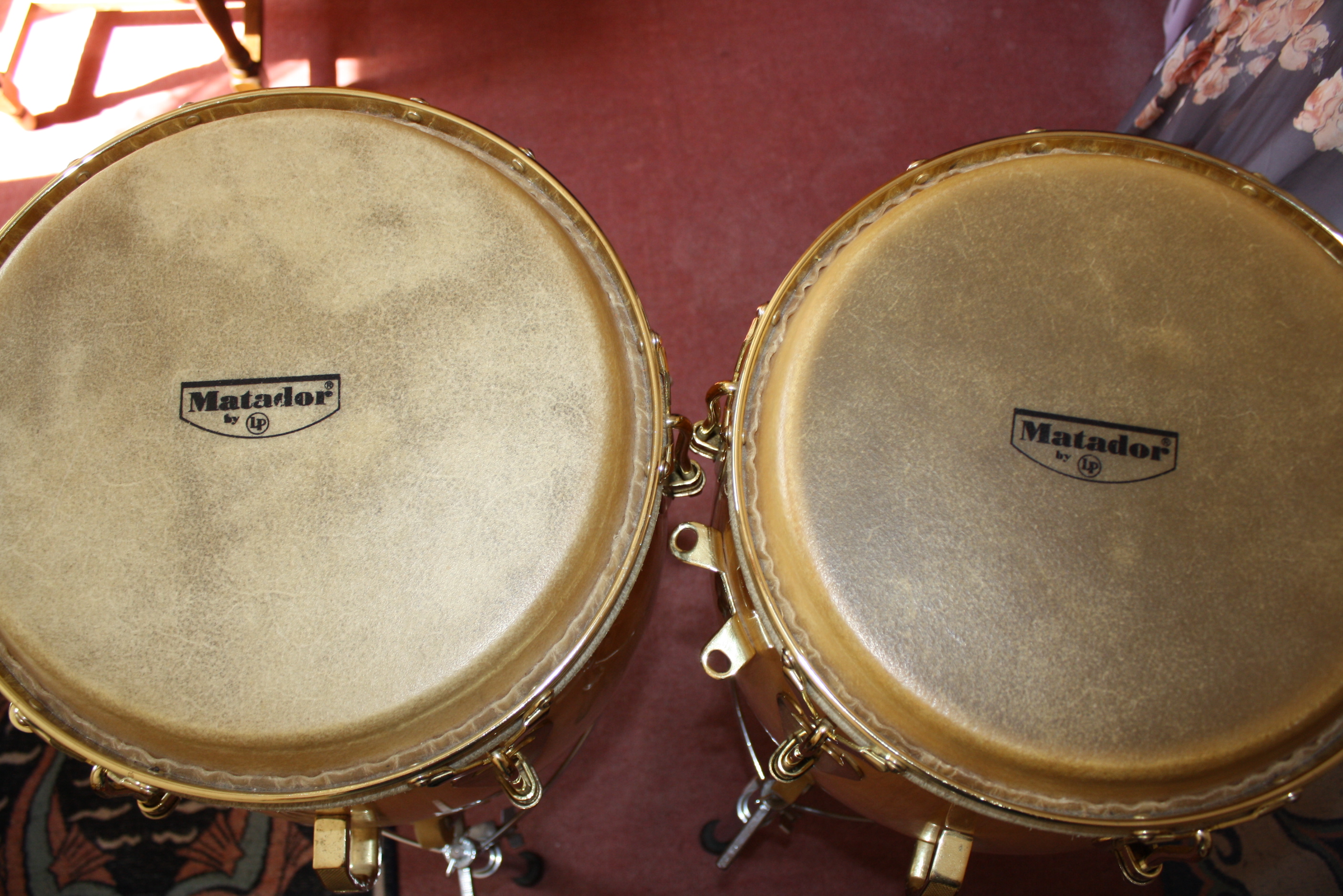 Congas Matador Lp Congas Matador Audiofanzine