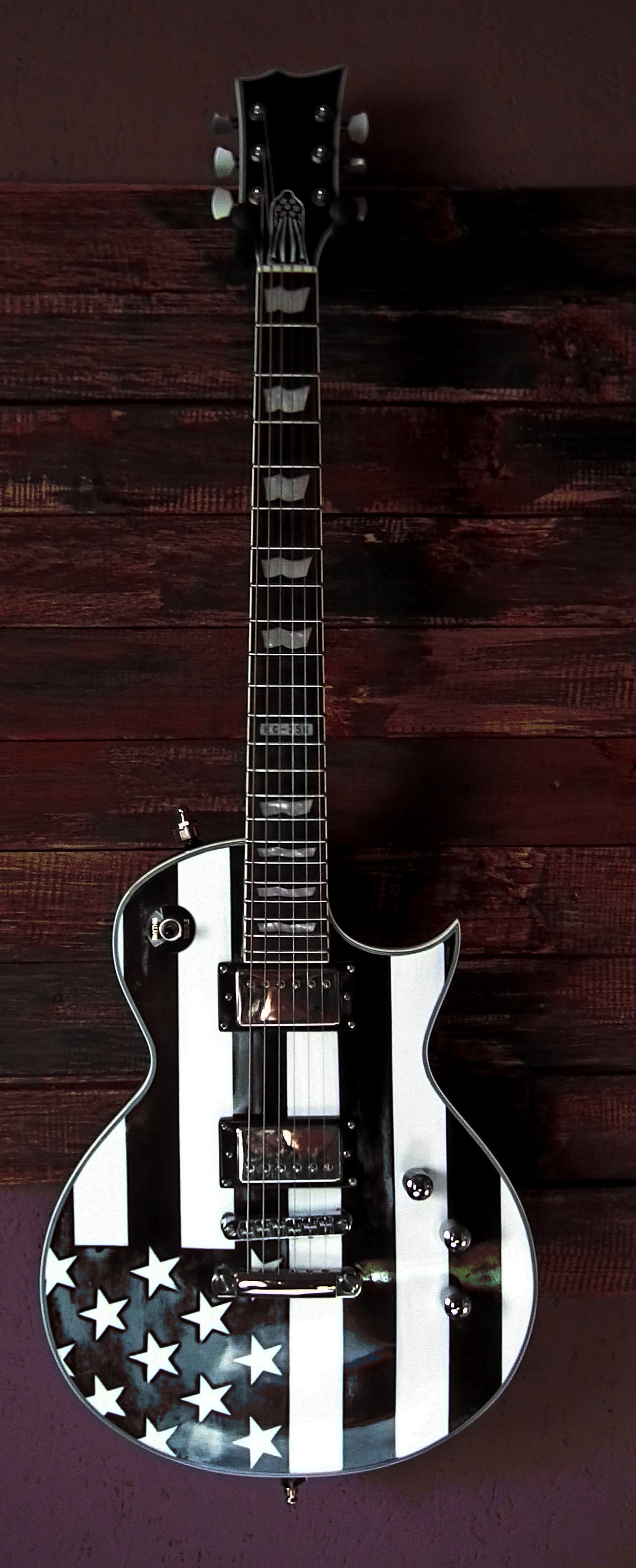 EC-256 [2009-2012] - LTD EC-256 [2009-2012] - Audiofanzine