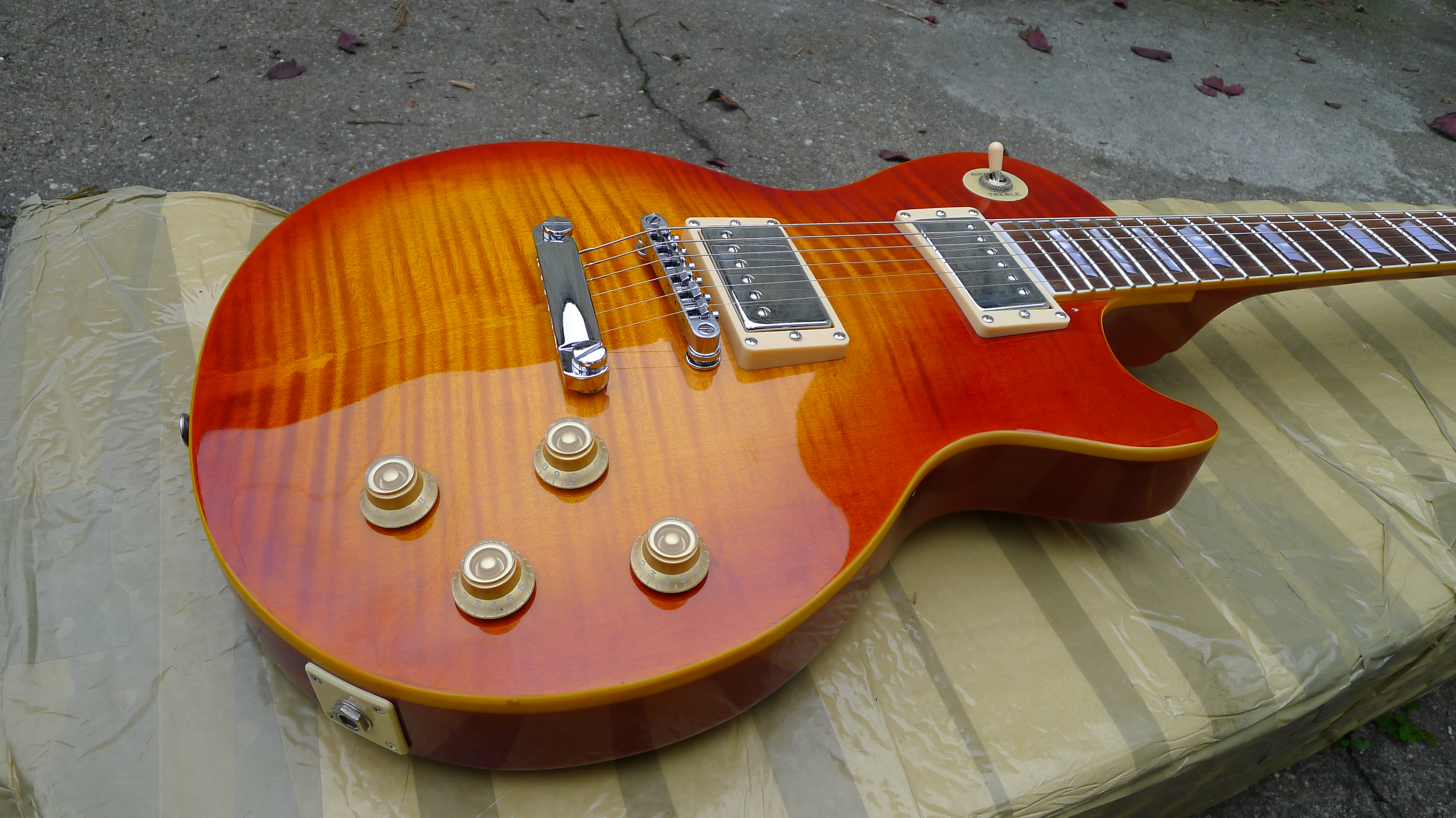 Photo Maison TYPE LES PAUL P1050796.JPG (2051637) Audiofanzine