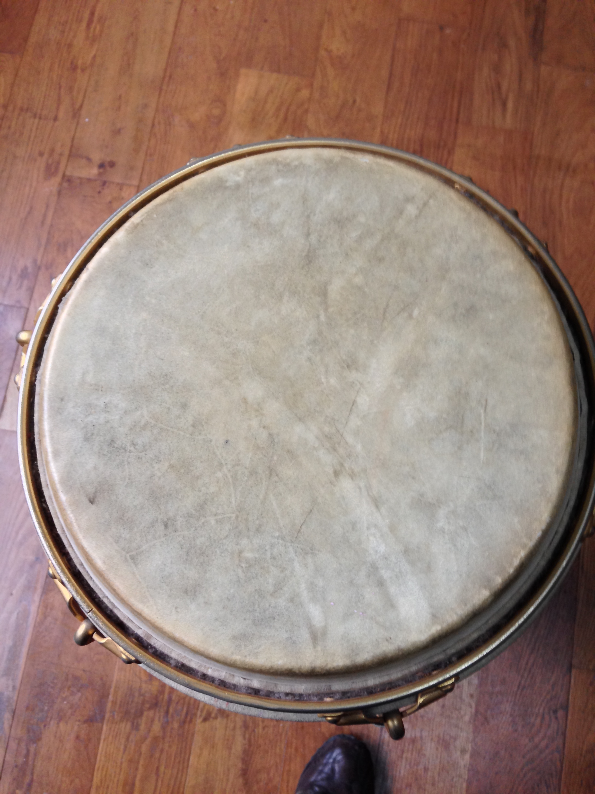 CONGA Michel Delaporte Conga Audiofanzine