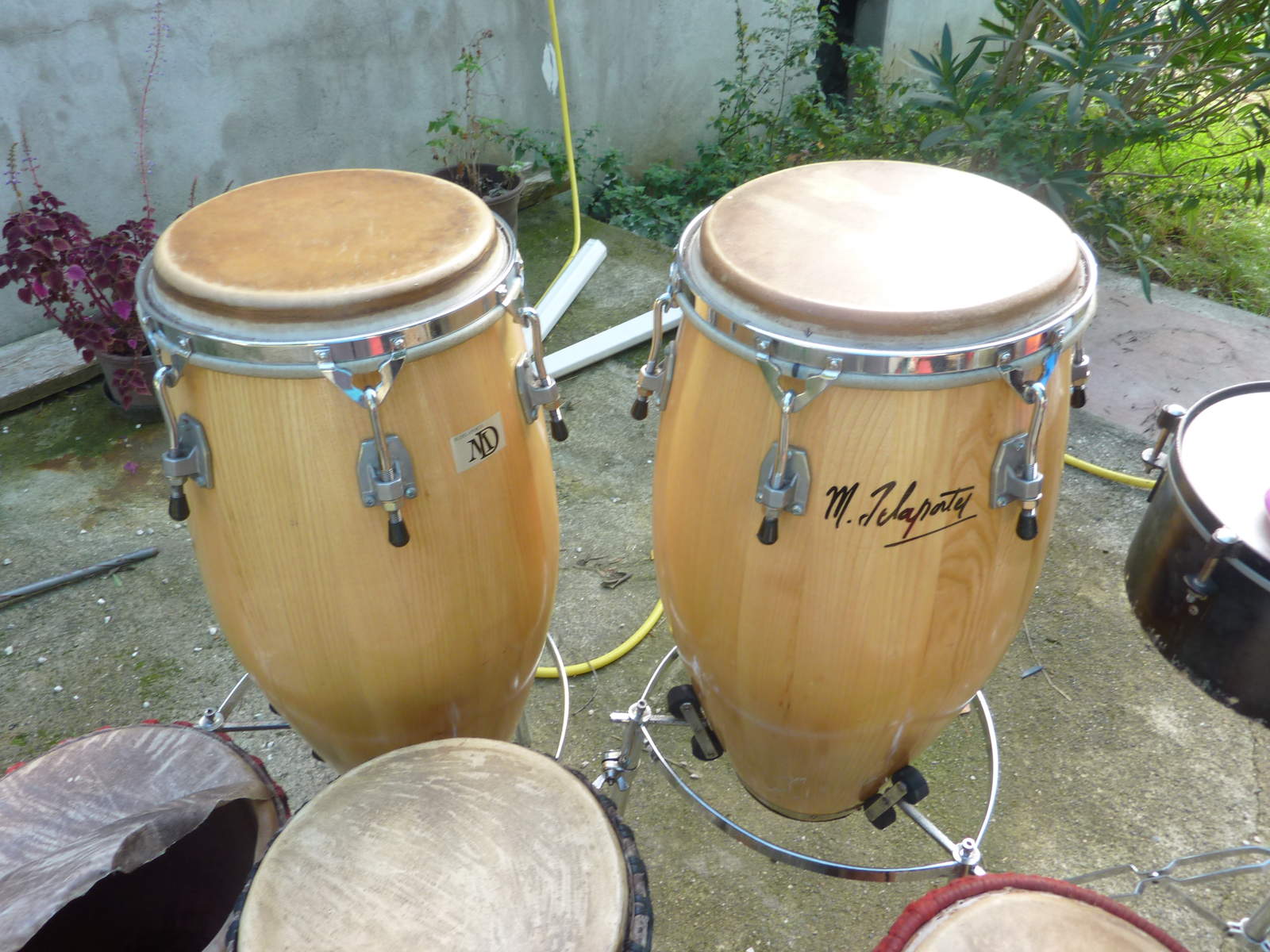 Photo Michel Delaporte Conga Michel Delaporte Conga (99650) (158826