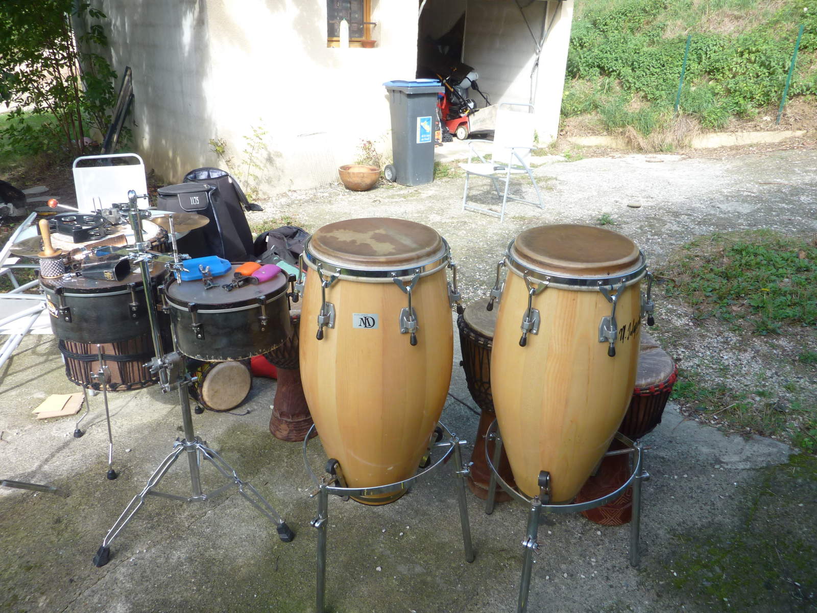 Michel Delaporte Conga image (165534) Audiofanzine