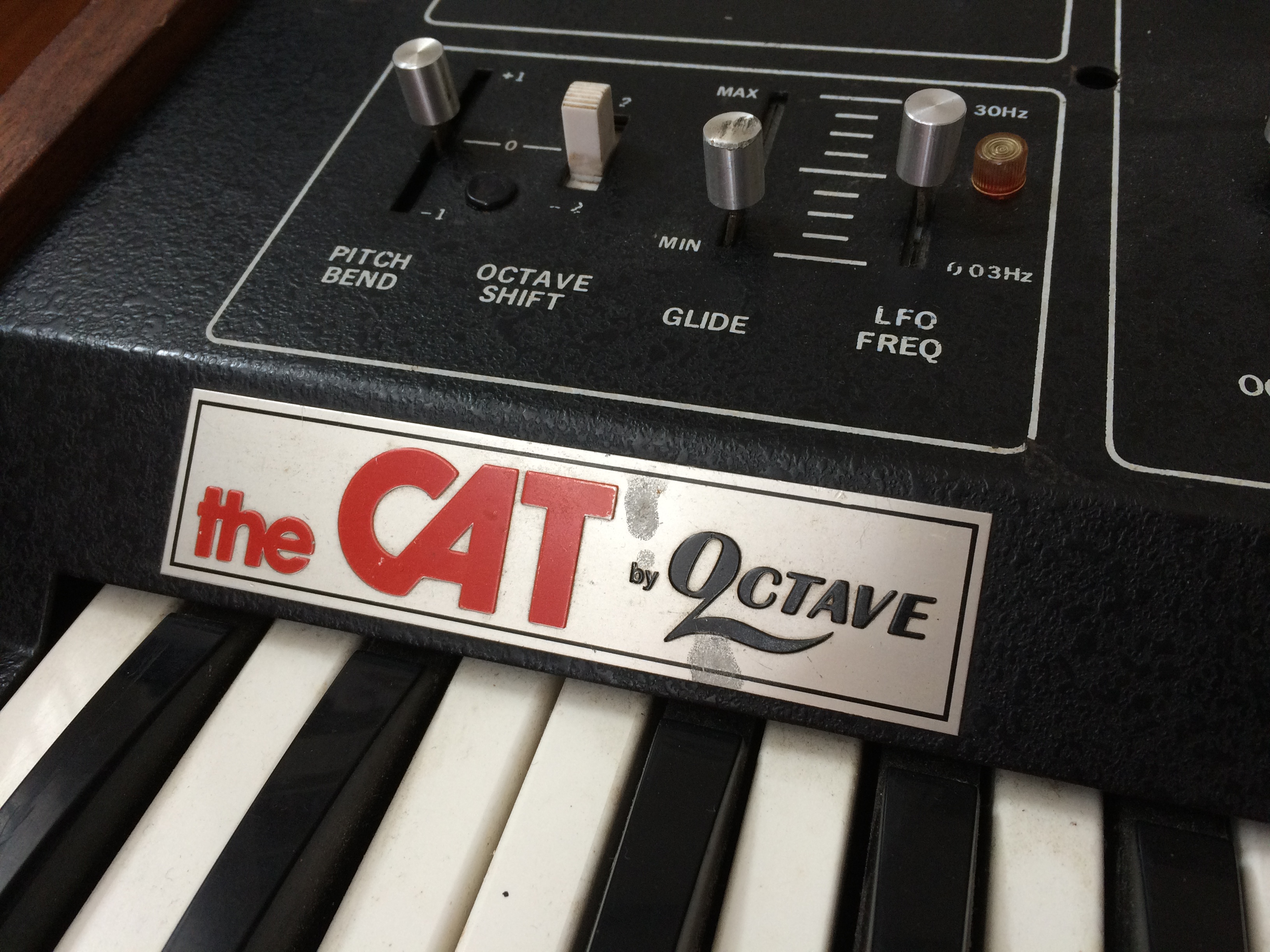 octave cat