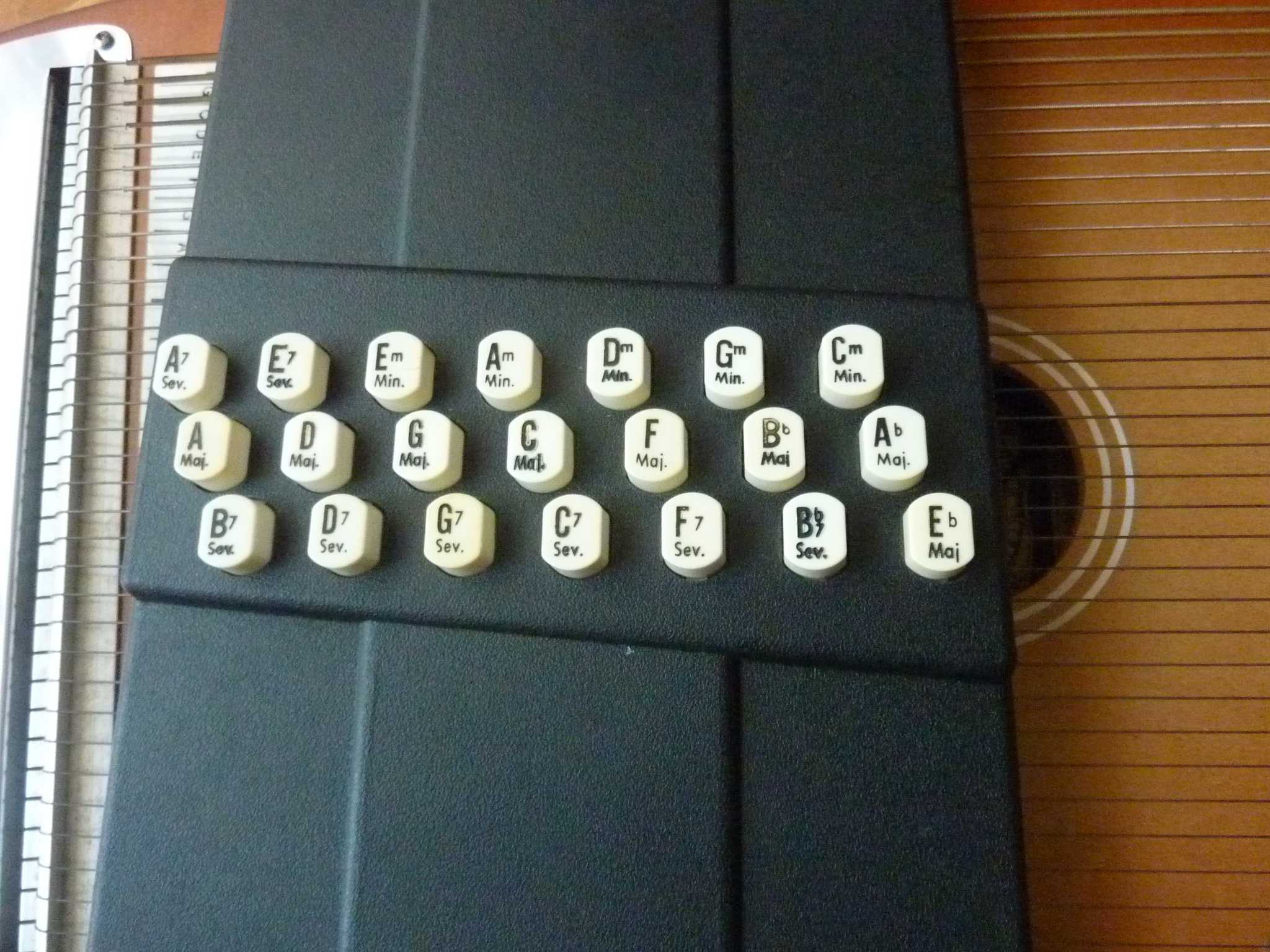 Autoharp Oscar Schmidt Autoharp Audiofanzine