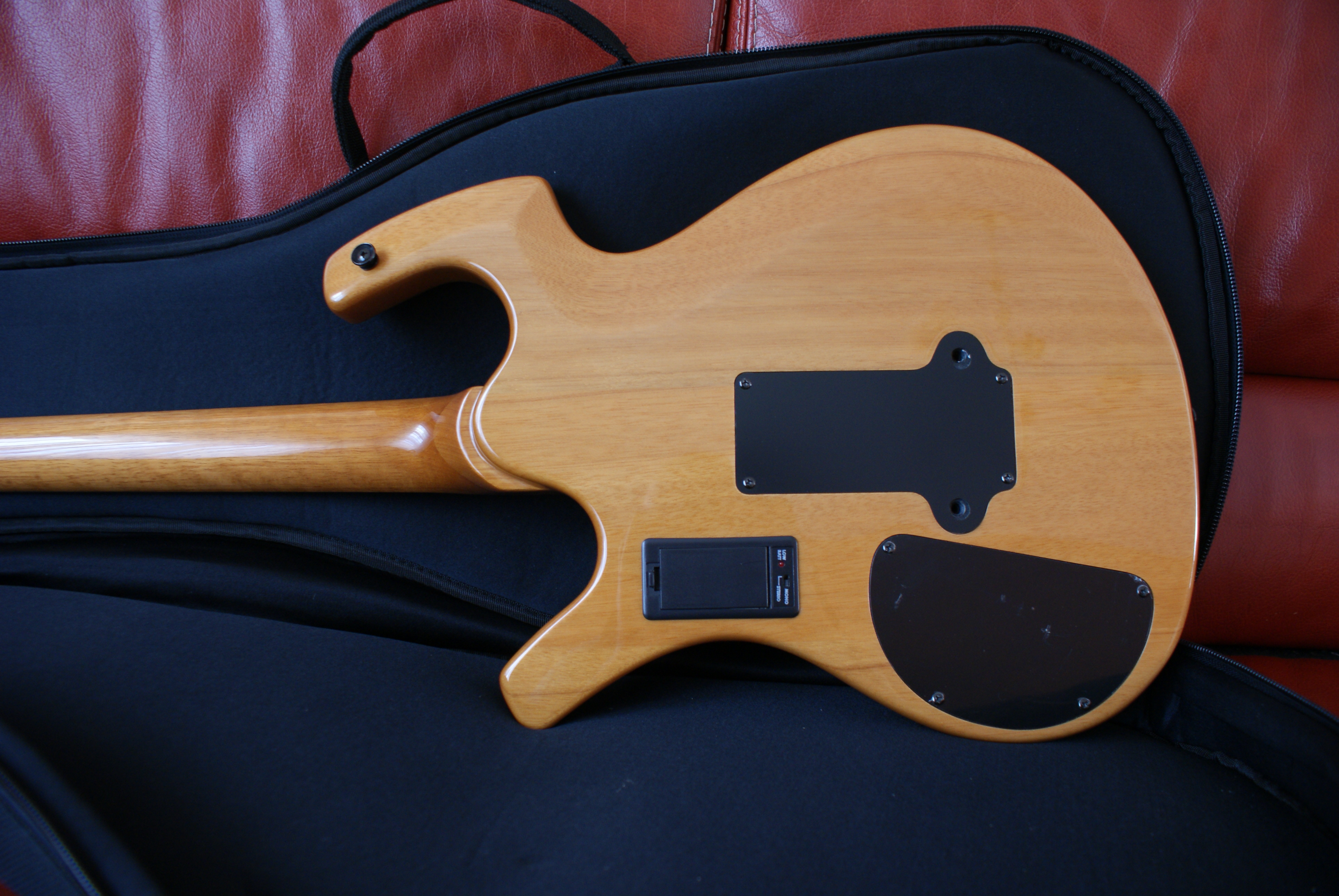 Parker Guitars P44Pro image (415610) Audiofanzine