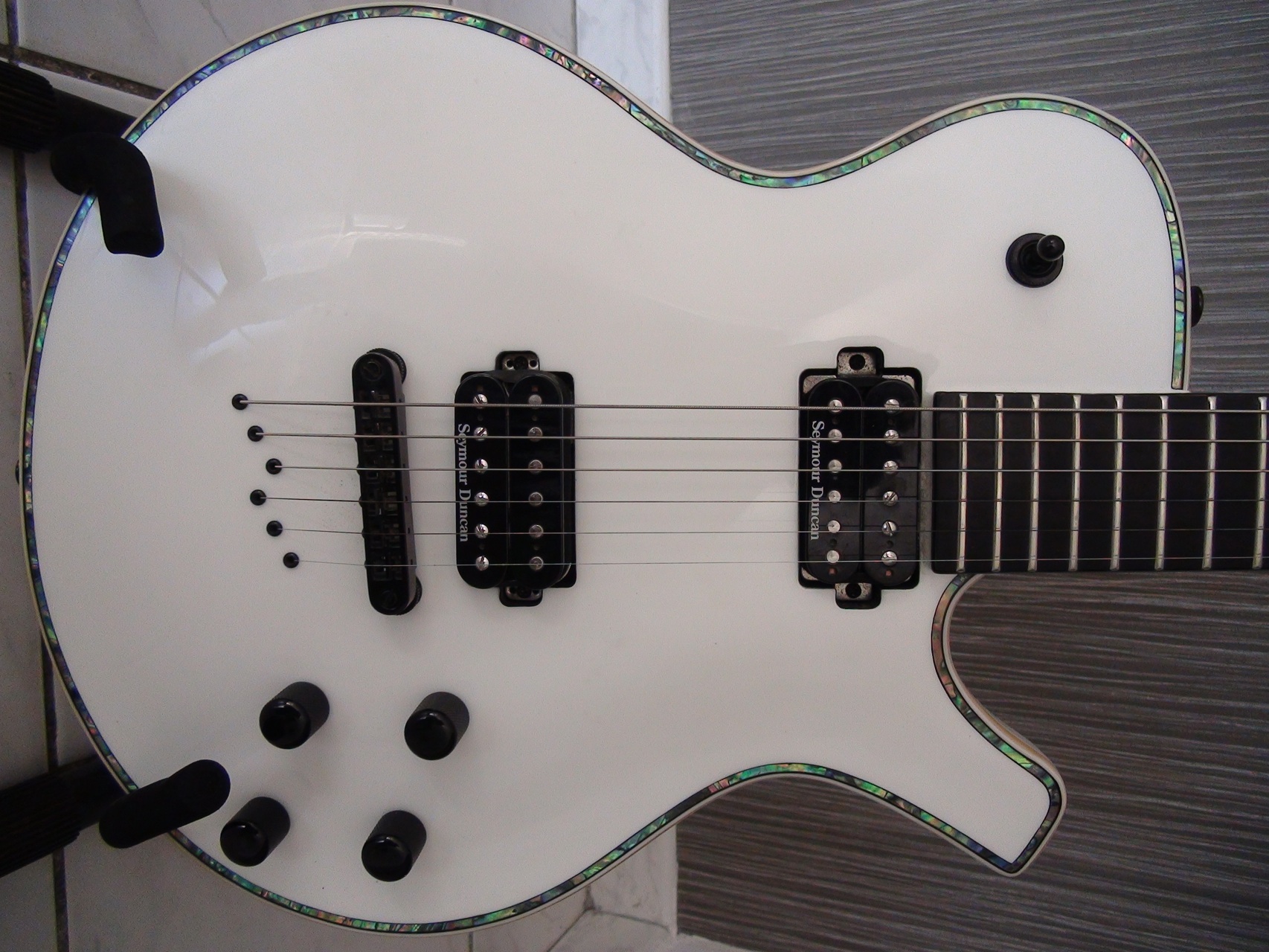 Parker Guitars PM20Pro image (245782) Audiofanzine
