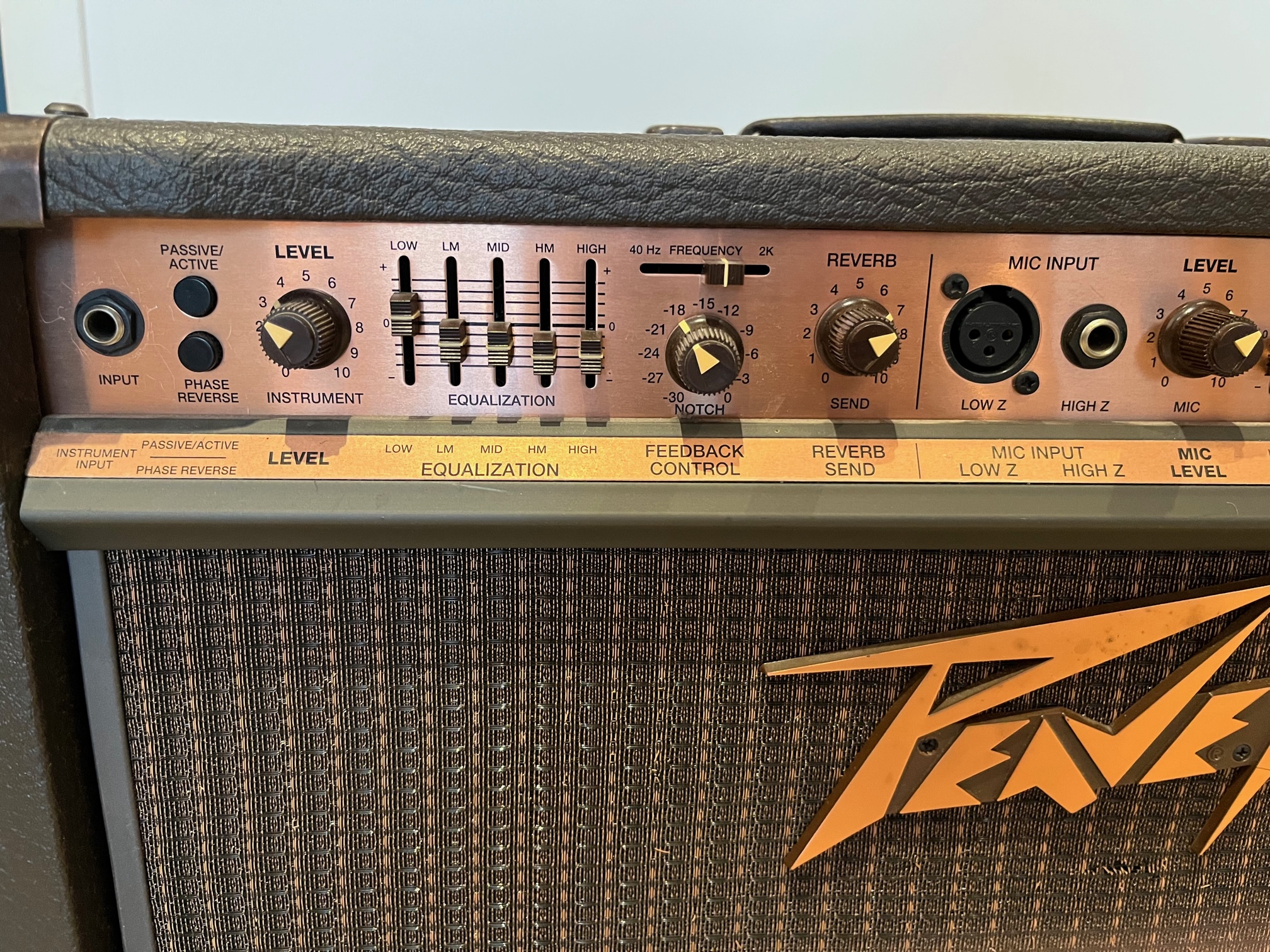 peavey ecoustic 112 efx