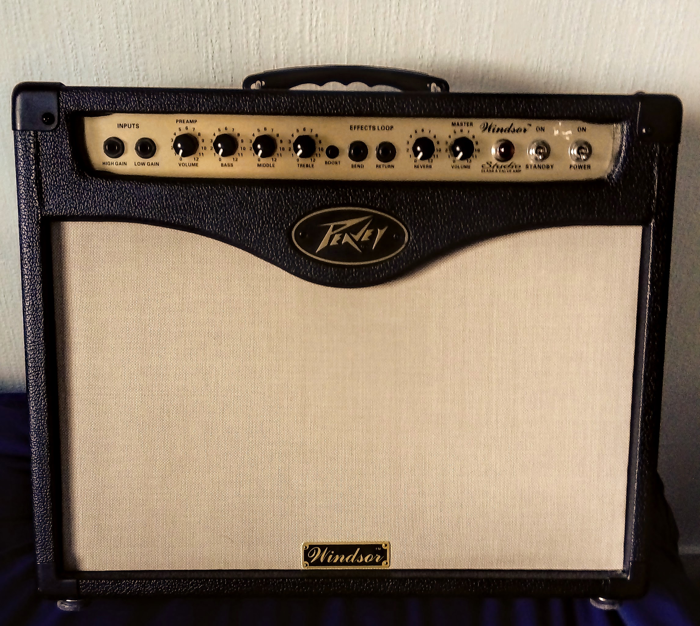 peavey windsor combo