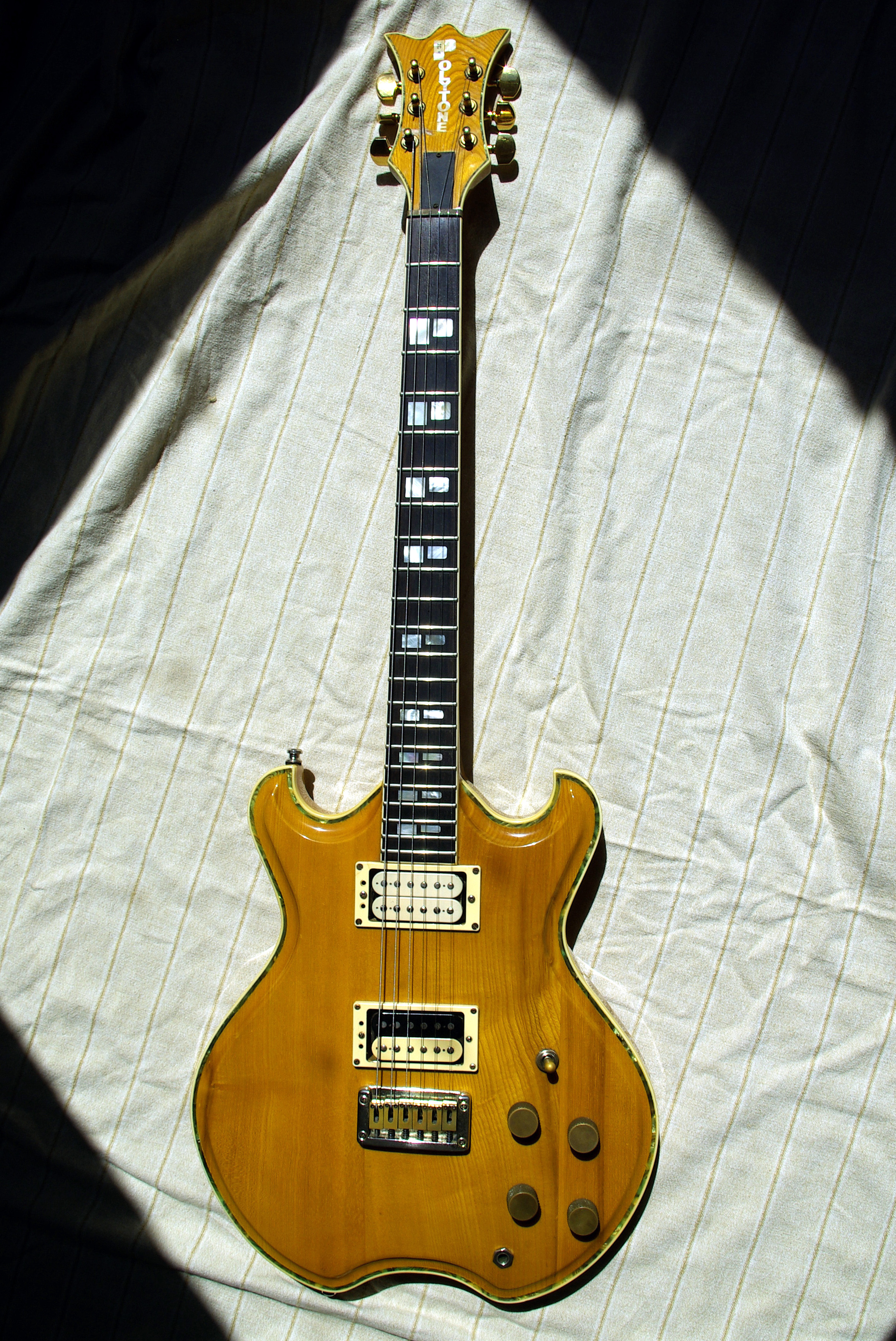 polytone-guitare-electrique-496552.jpg