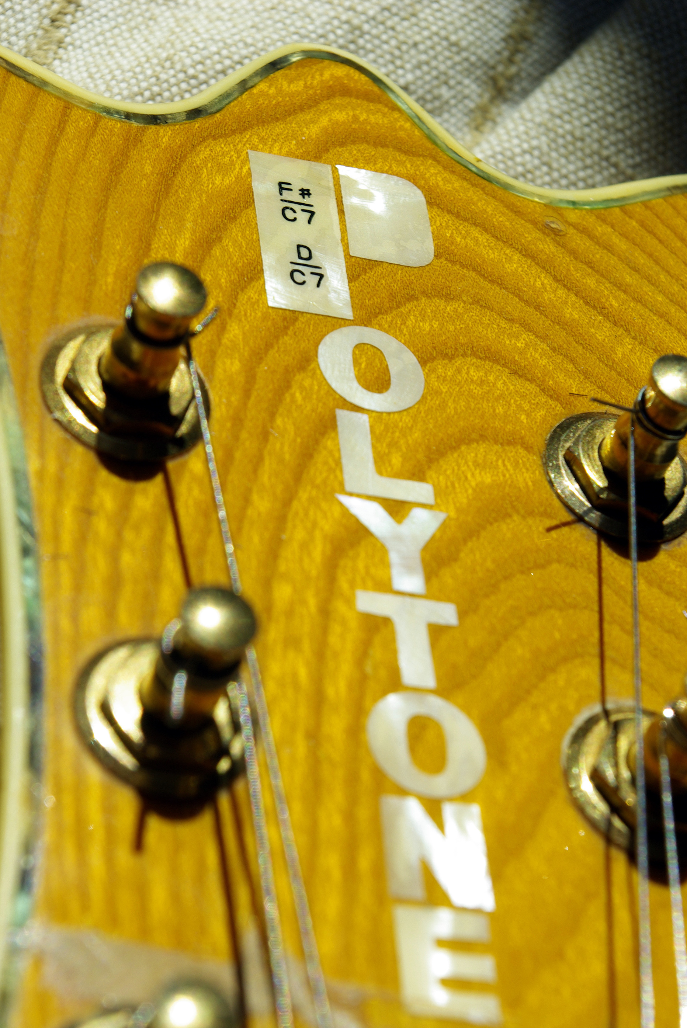 polytone-guitare-electrique-496563.jpg