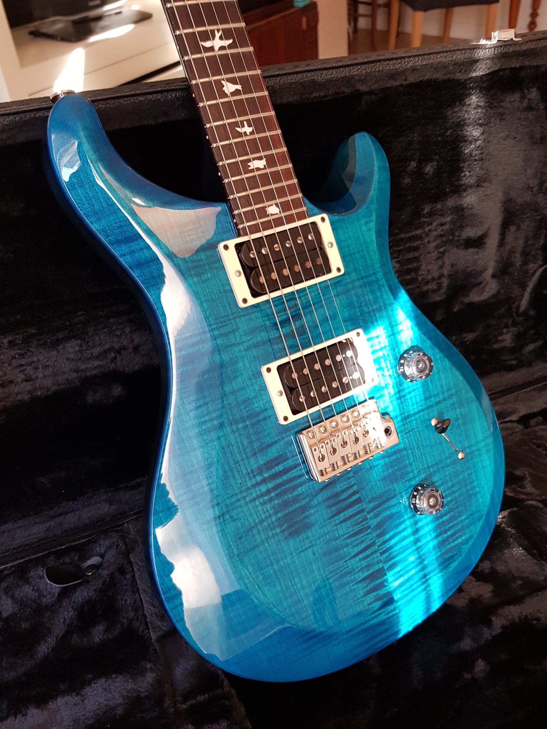 PRS S2 Custom 24 Gray Black Image 2066372 Audiofanzine
