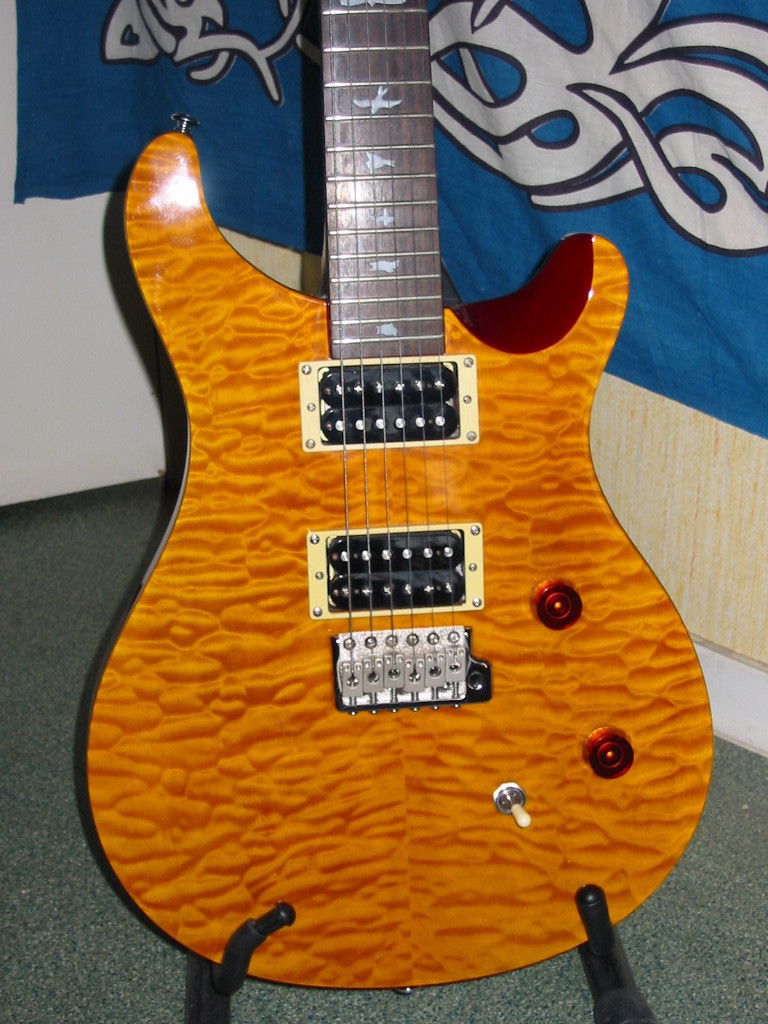 Prs Custom 24 25th Anniversary Store Website | imrd-cucuta.gov.co