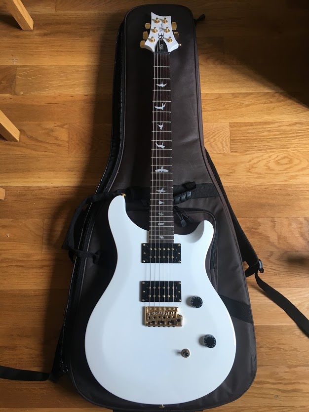 PRS SE Dave Navarro - Jet White image (#1780135) - Audiofanzine