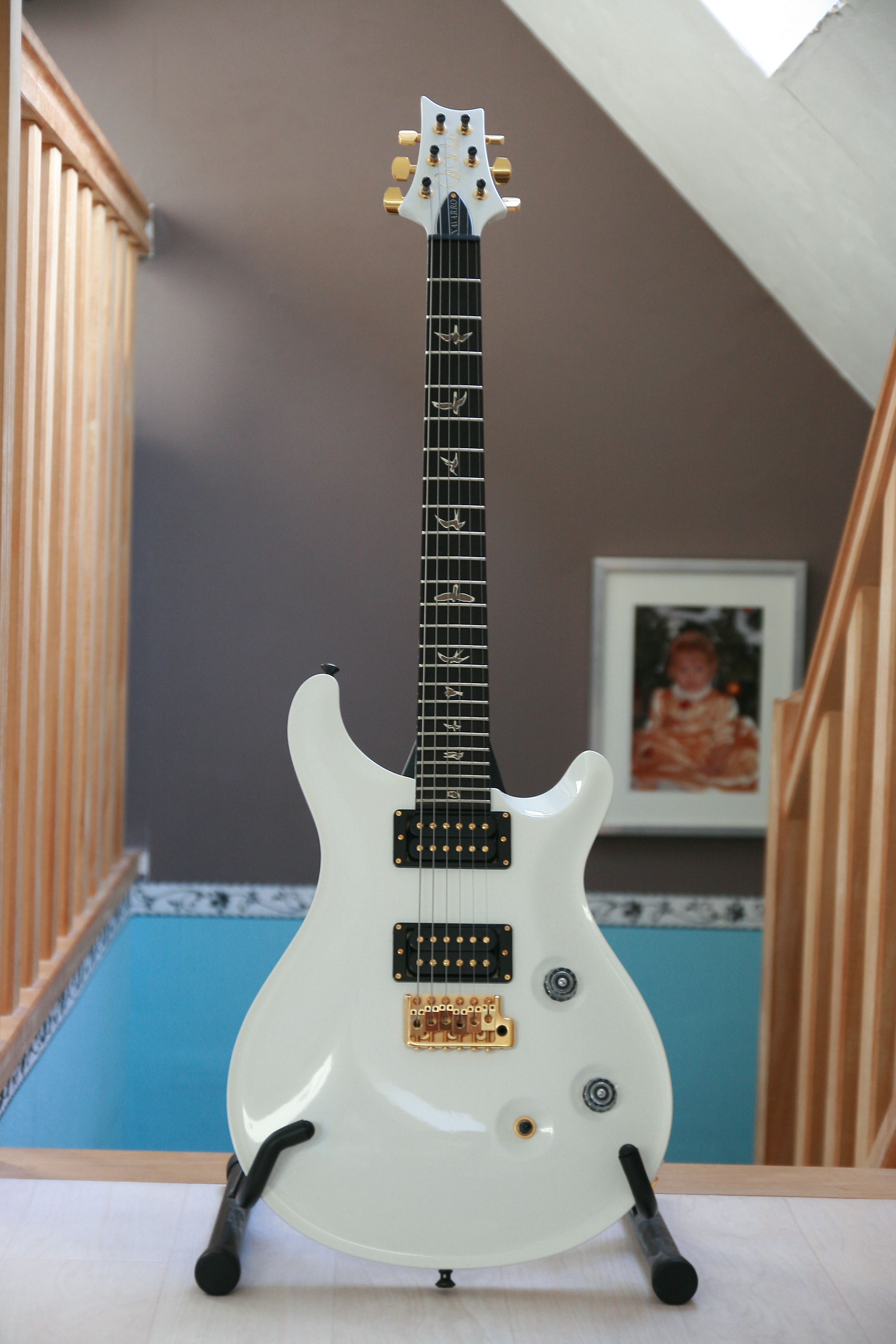 Photo PRS SE Dave Navarro - Jet White : PRS dave navarro signature ...