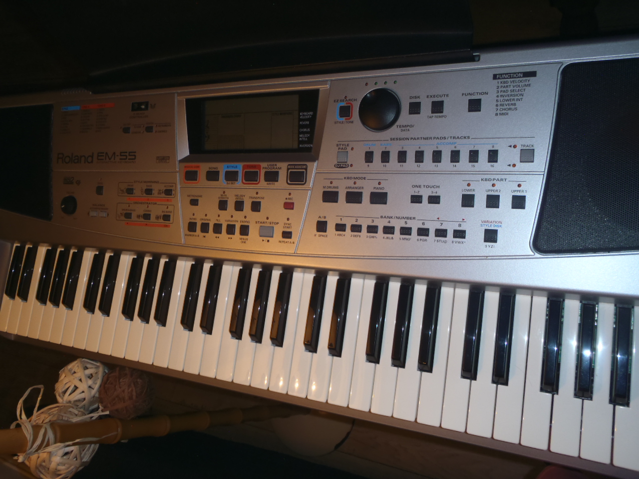 roland em55