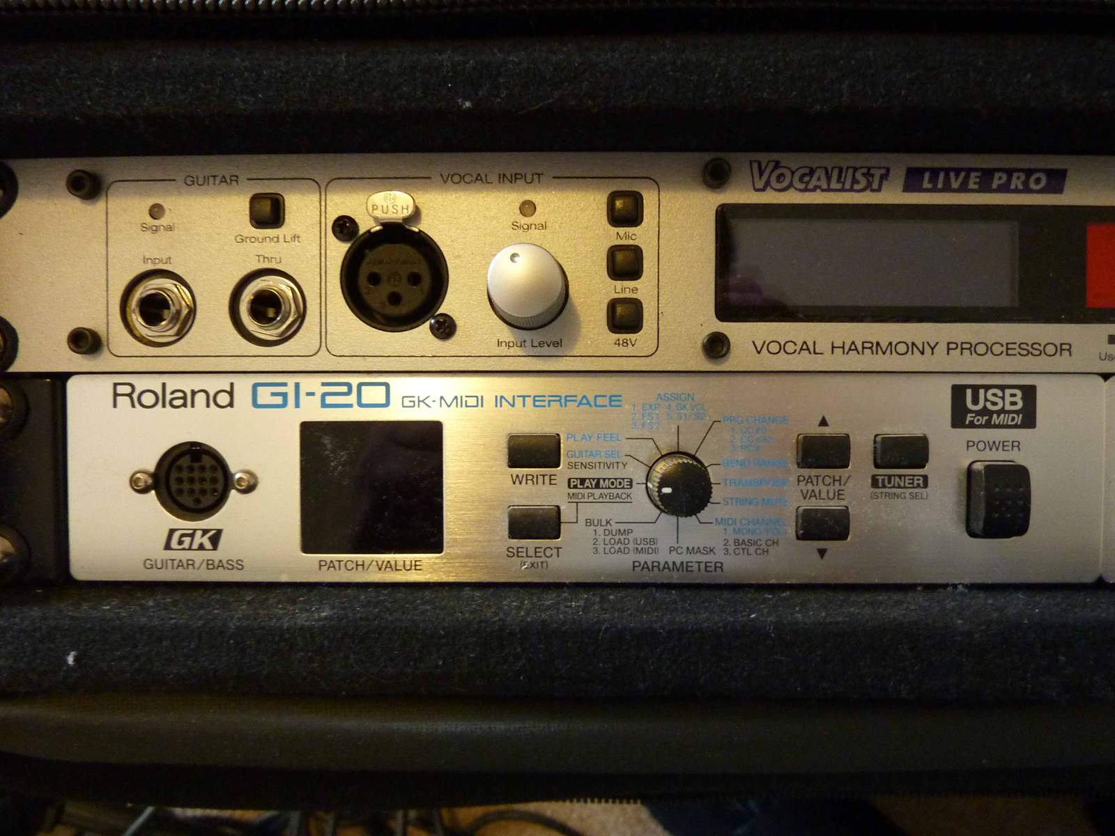 Photo Roland GI20 Roland GI20 (65053) (171034) Audiofanzine