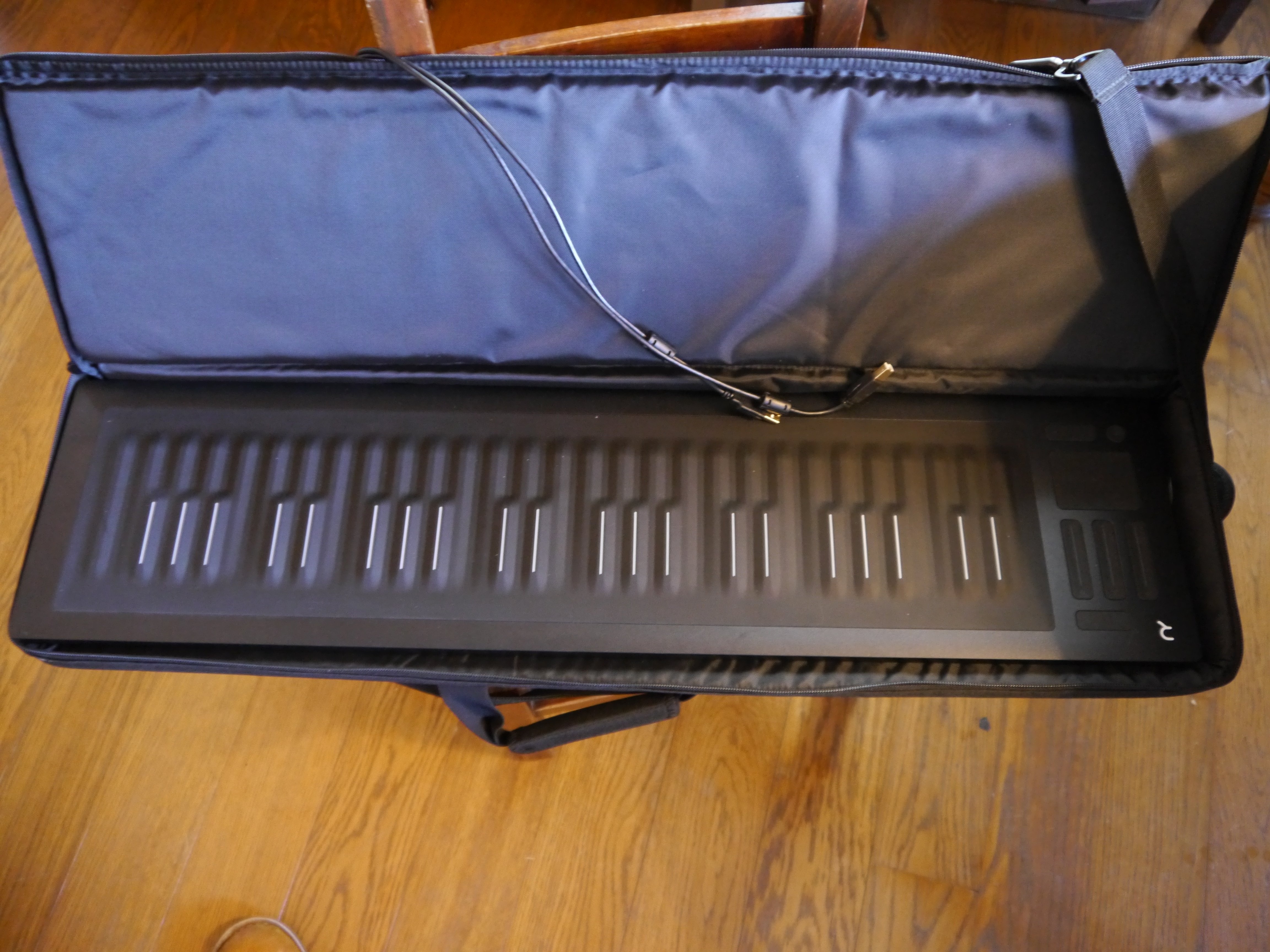 33+ Roli Seaboard Rise 49 Gif