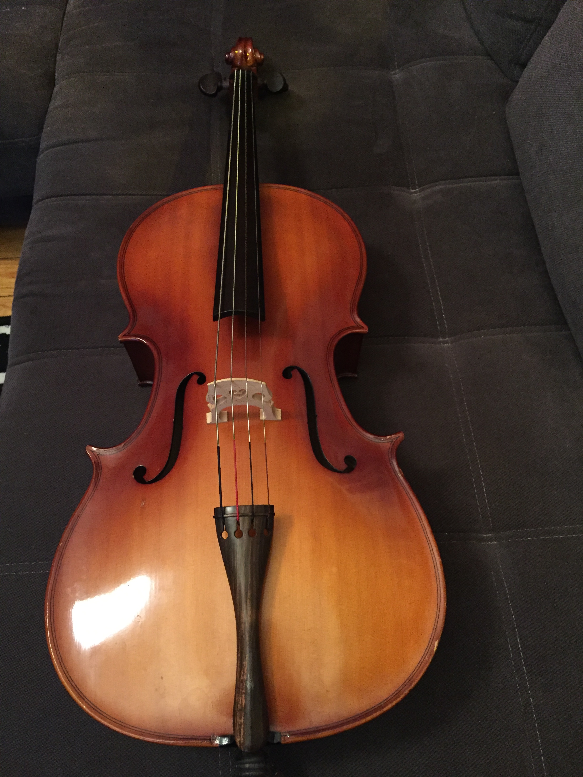 Photo Shimro Violoncelle  Shimro Violoncelle  58996 