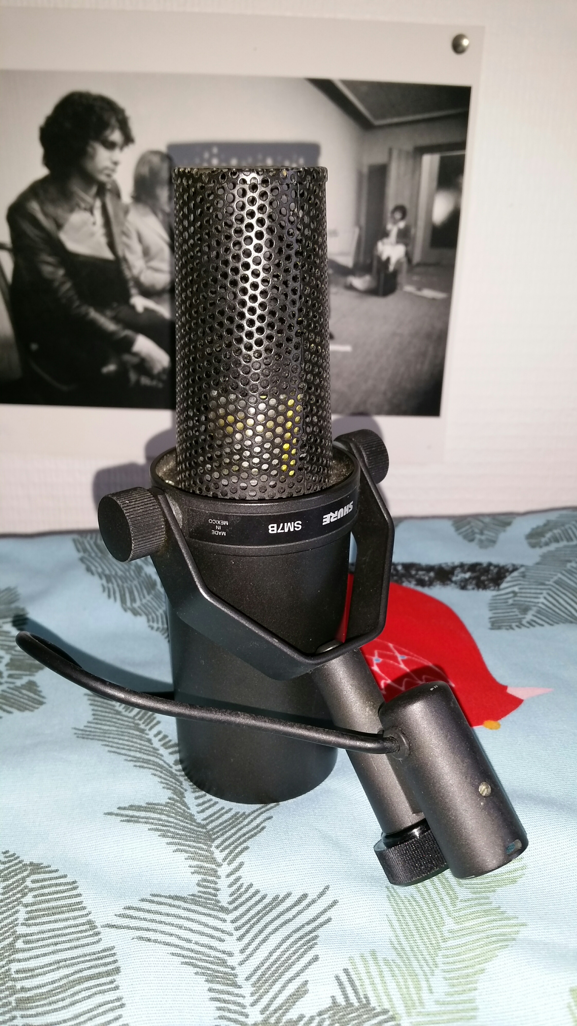 SHURE SM7B（国内正規品） :161841:渋谷イケベ楽器村 - 通販+spbgp44.ru