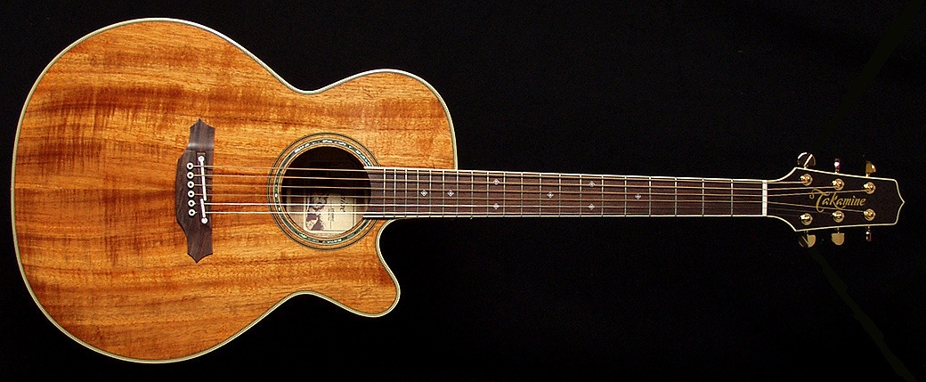 Takamine EF508KC image (#1163859) - Audiofanzine