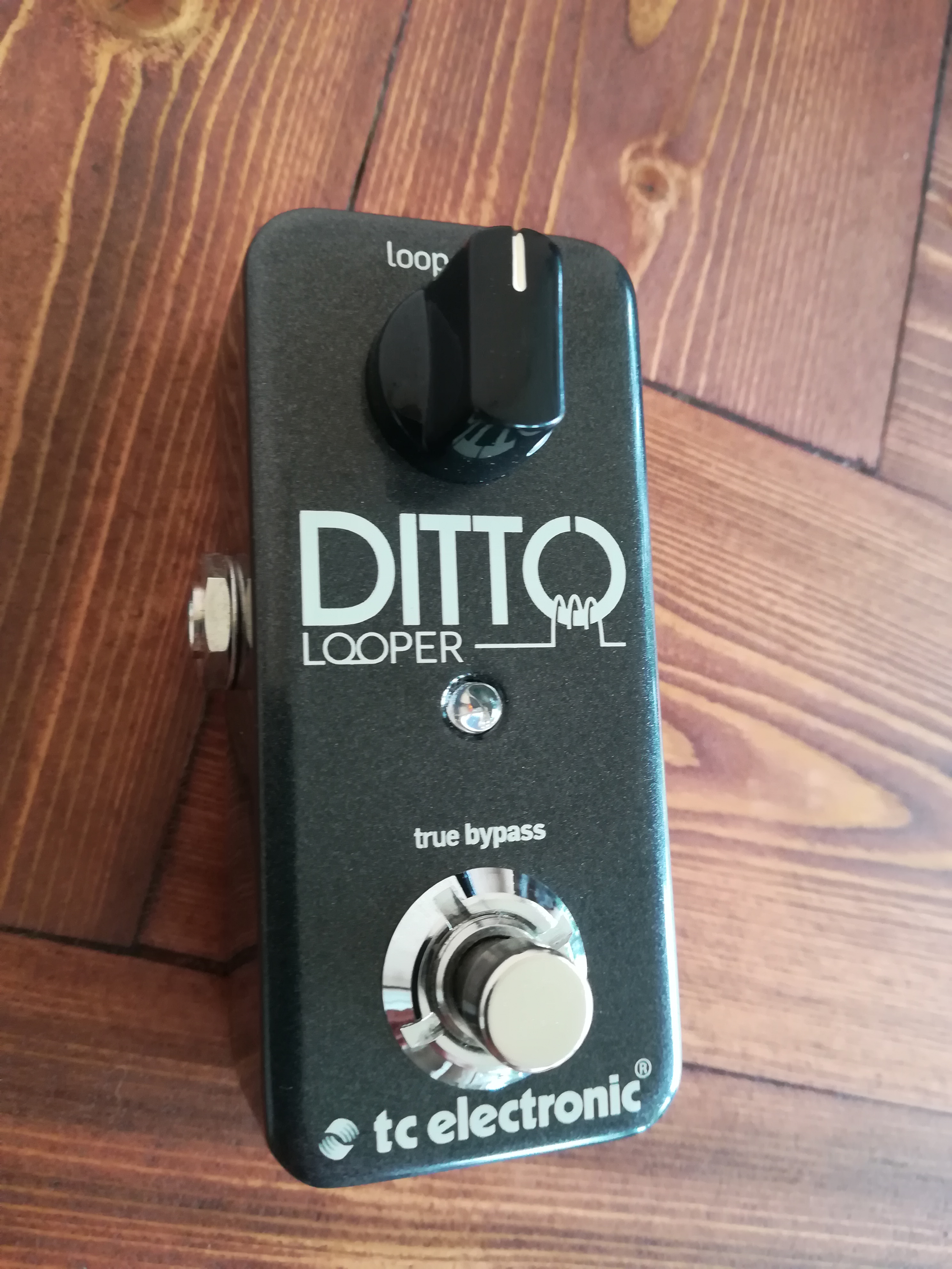 Ditto Looper - TC Electronic Ditto Looper - Audiofanzine