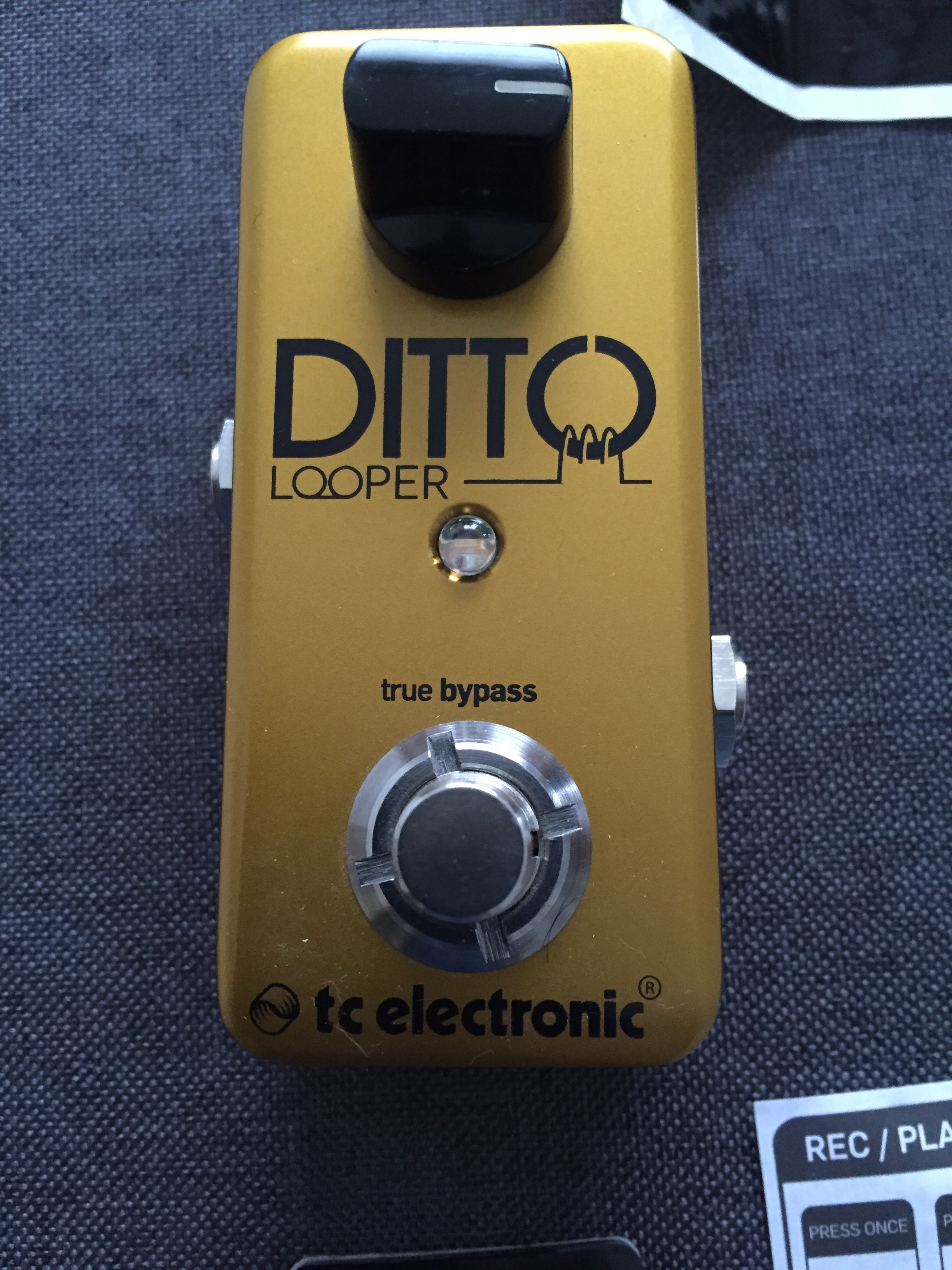 Photo TC Electronic Ditto Looper Gold TC Electronic Ditto Looper Gold