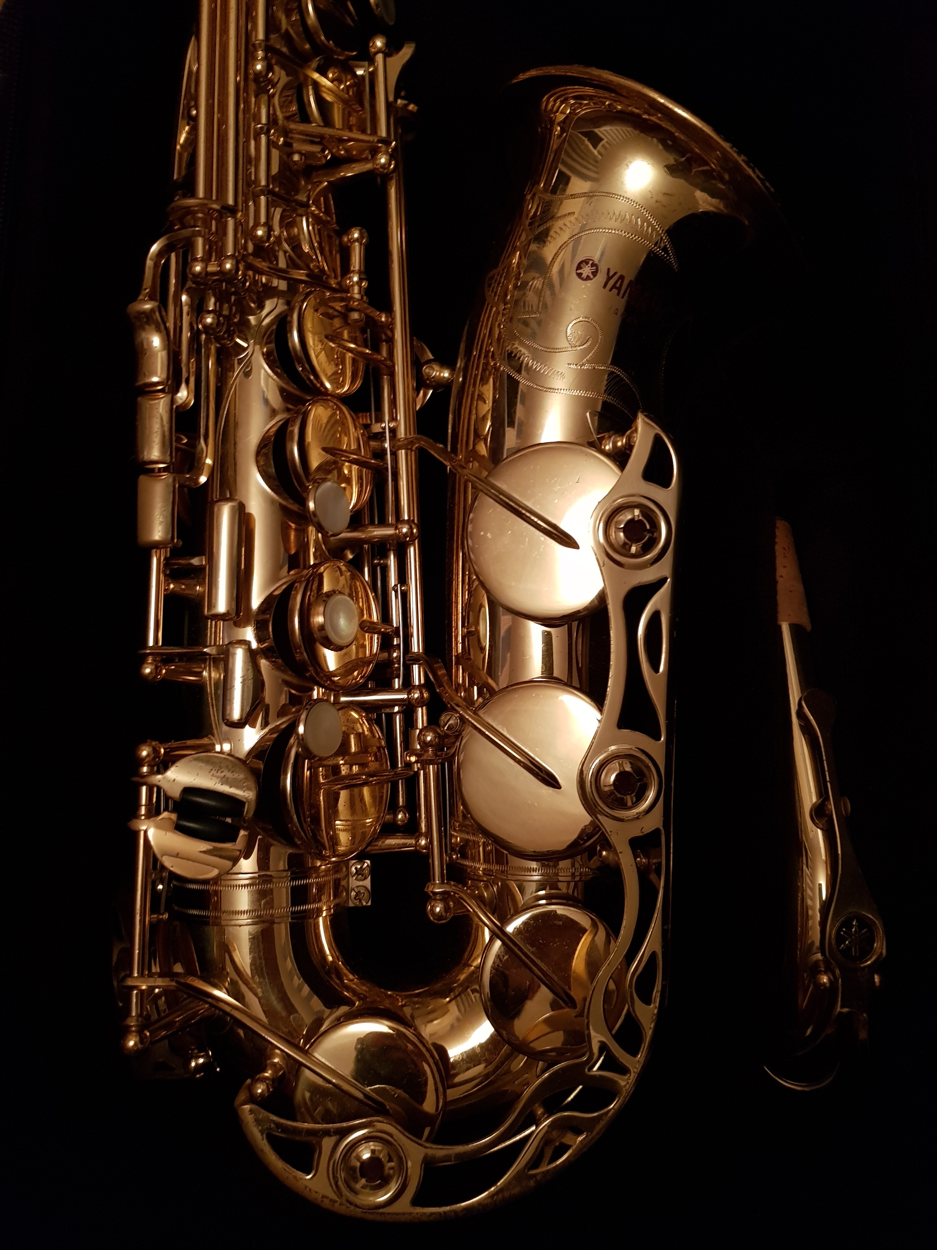 saxophone alto Thomann saxophone alto Audiofanzine