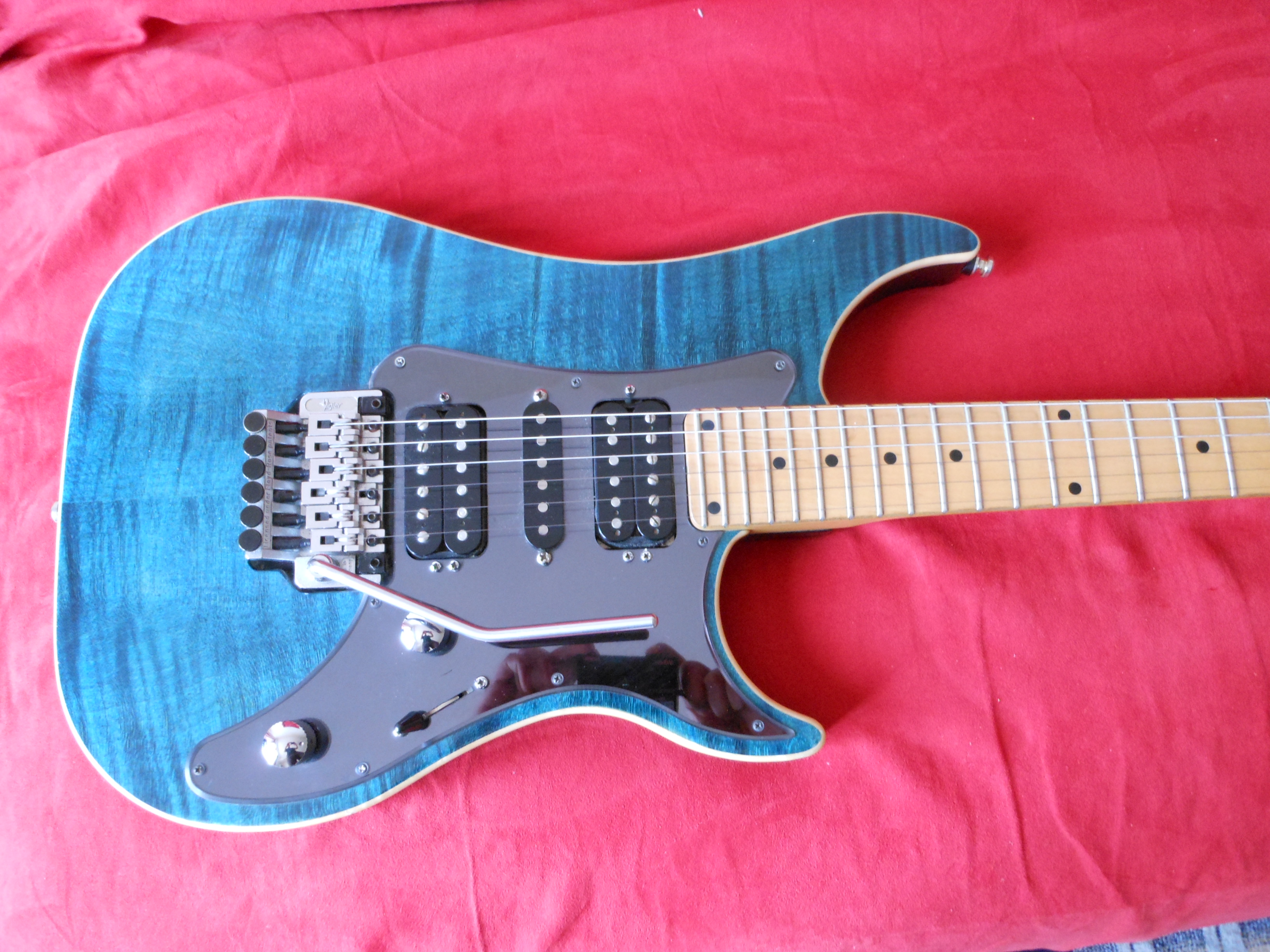 vigier-excalibur-custom-hsh-454383.jpg