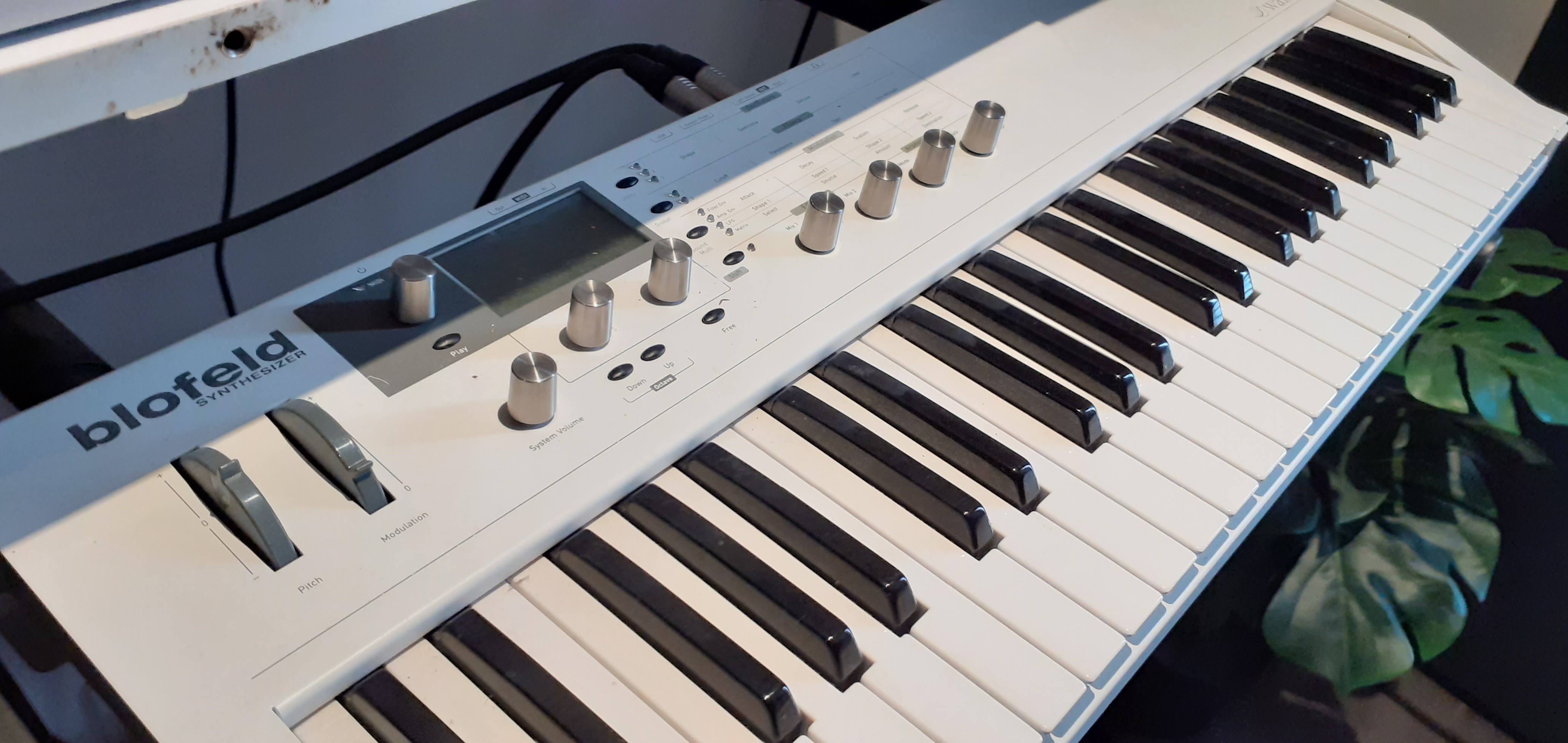 Blofeld Keyboard Waldorf Blofeld Keyboard Audiofanzine