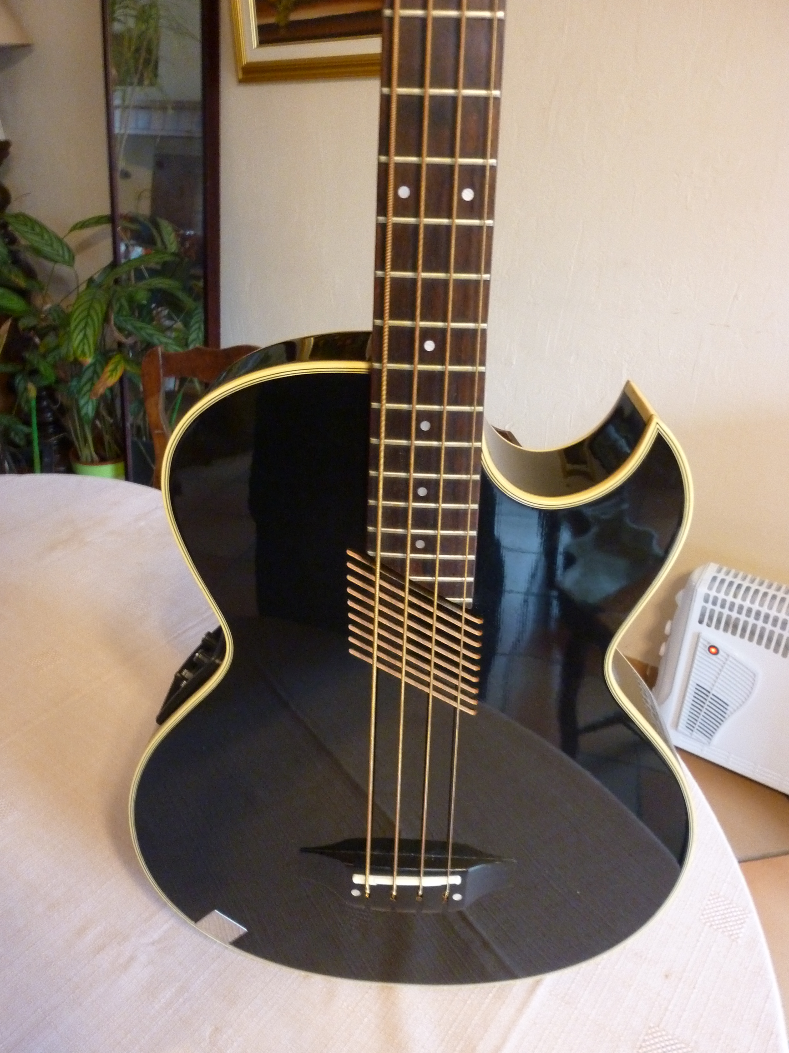 Washburn AB20 image (408399) Audiofanzine