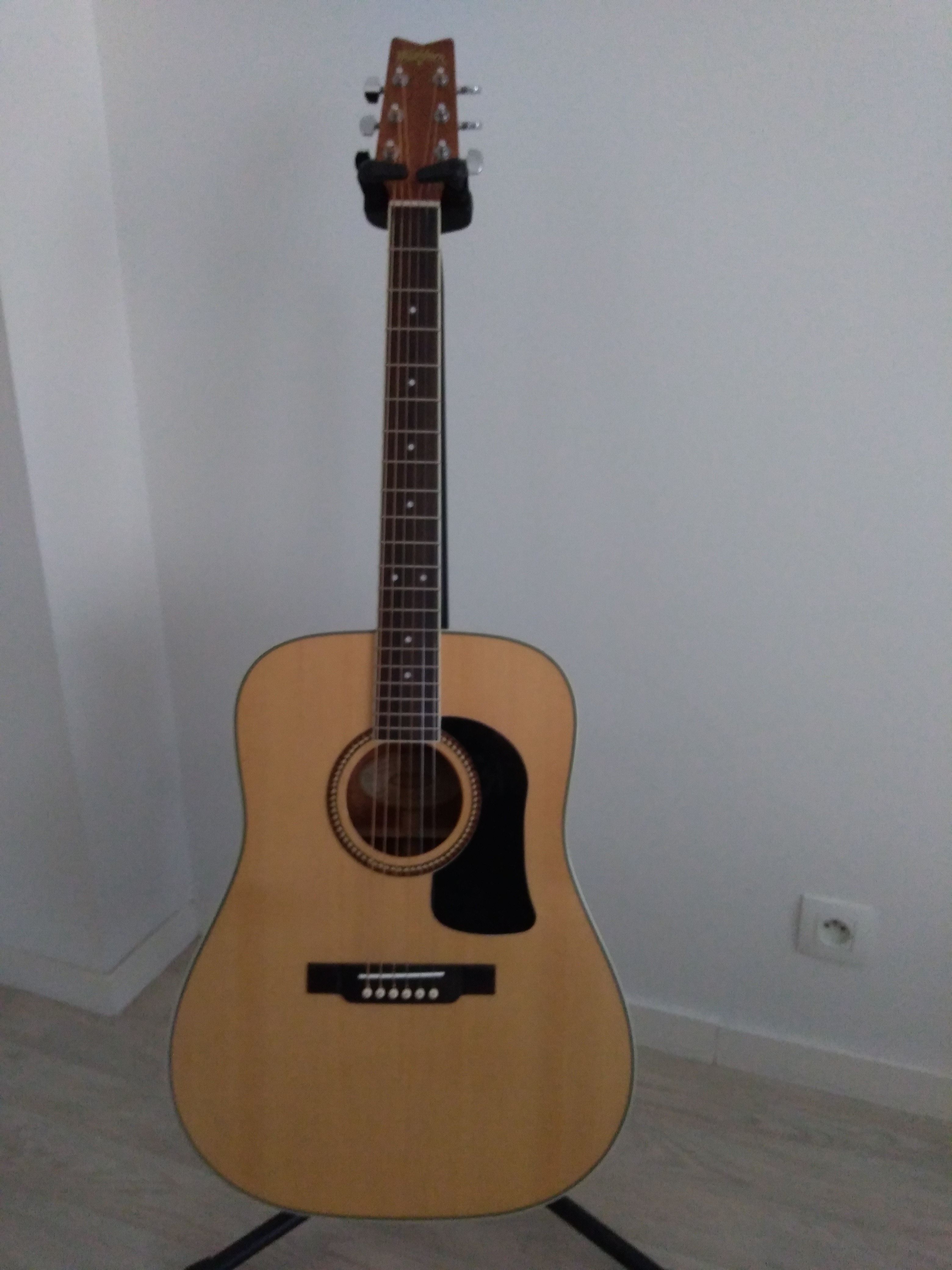 D10S Washburn D10S Audiofanzine