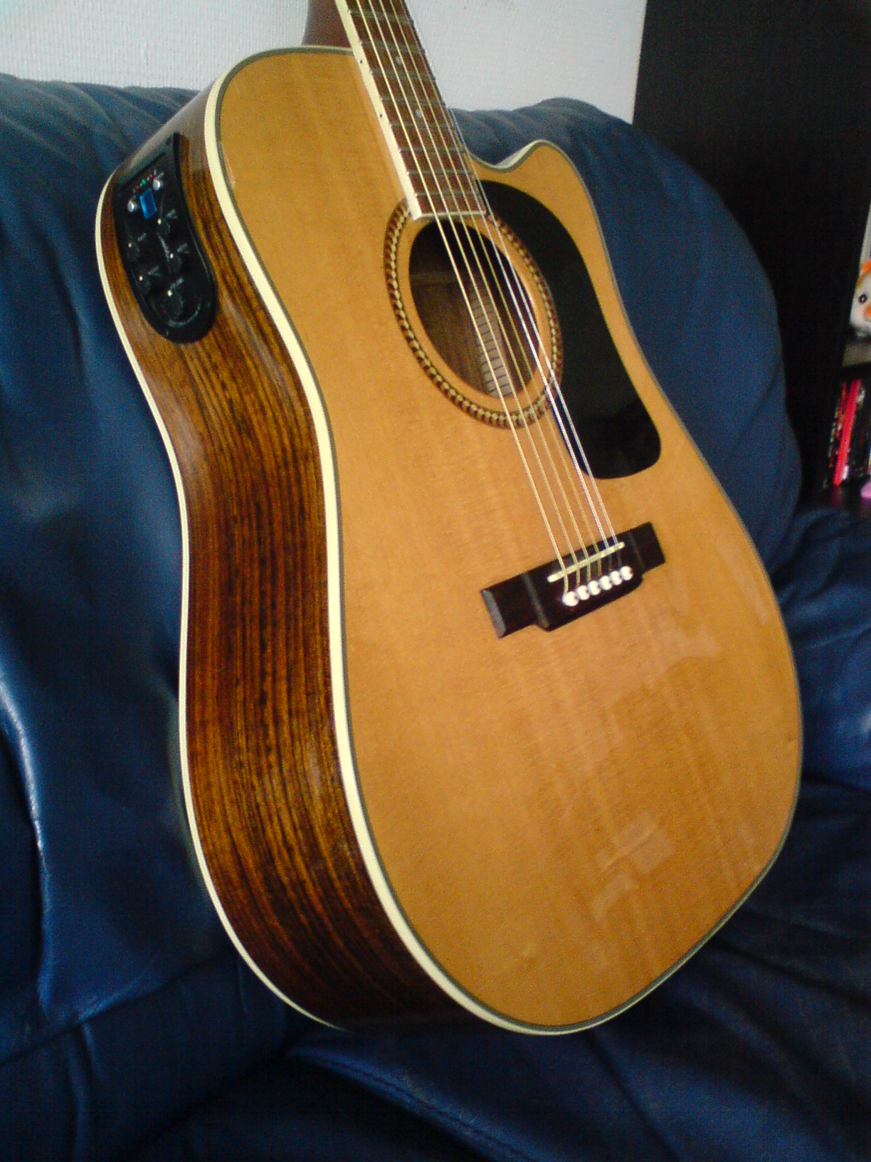 Photo Washburn D10SCE Washburn D10SCE (49498) (528992) Audiofanzine