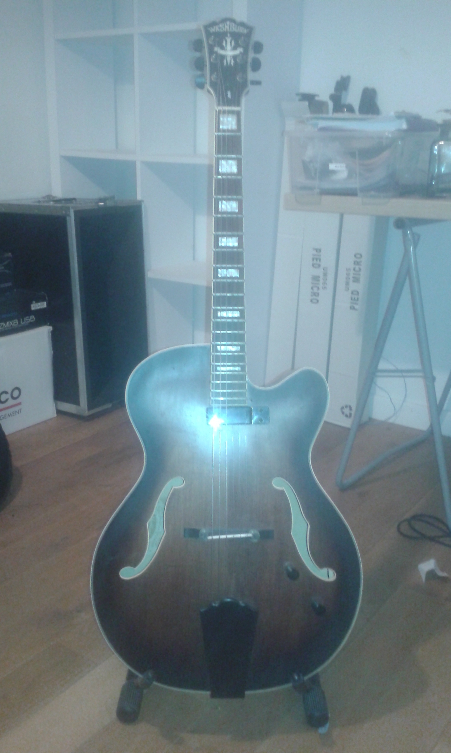 J600 Washburn J600 Audiofanzine