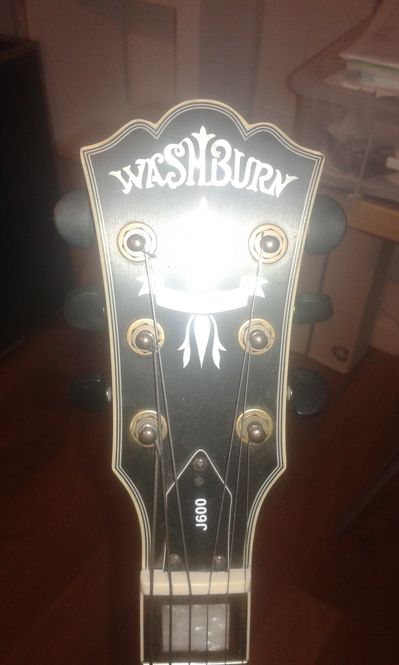 J600 Washburn J600 Audiofanzine